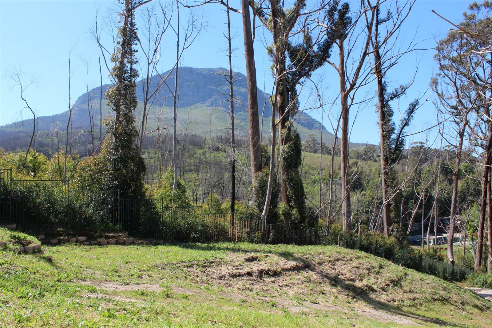 3105 m² Land available in Spanish Farm photo number 8