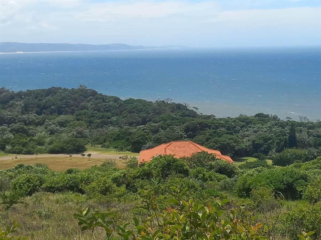 1131 m² Land available in Khamanga Bay photo number 13