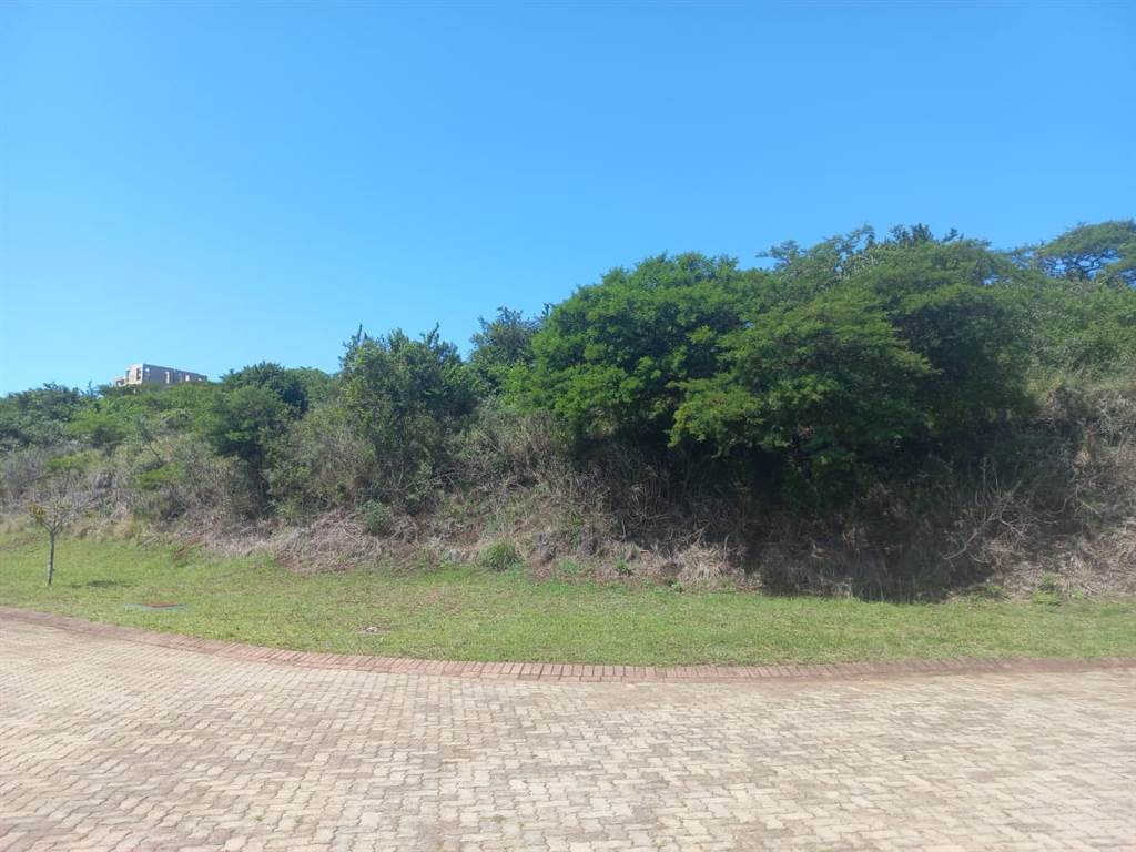 1131 m² Land available in Khamanga Bay photo number 16