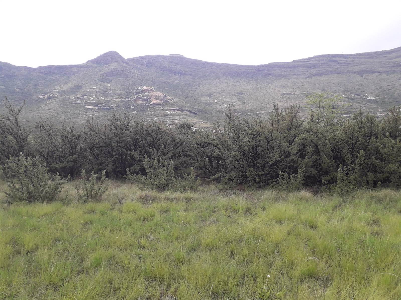 1404 m² Land available in Clarens photo number 10