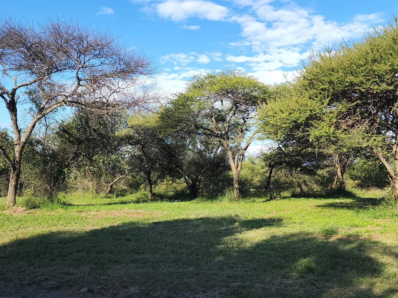 1250 m² Land available in Bela-Bela (Warmbaths) photo number 4