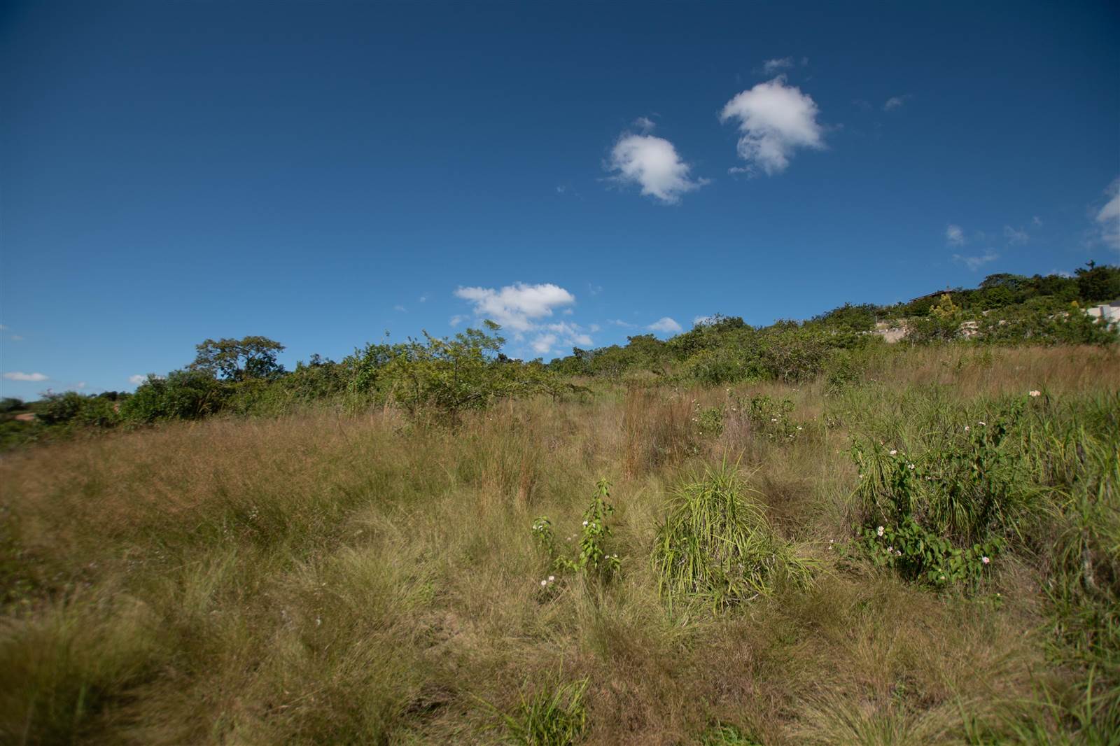 7042 m² Land available in The Rest Nature Estate photo number 4