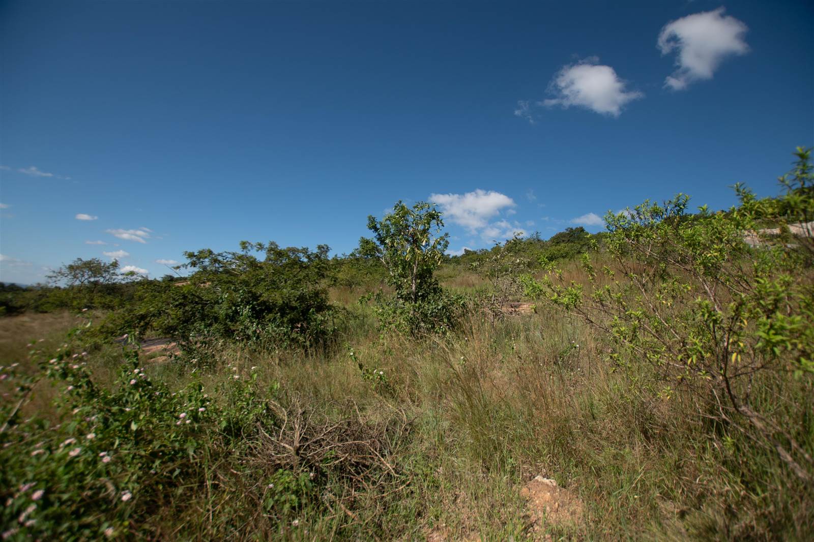 7042 m² Land available in The Rest Nature Estate photo number 1