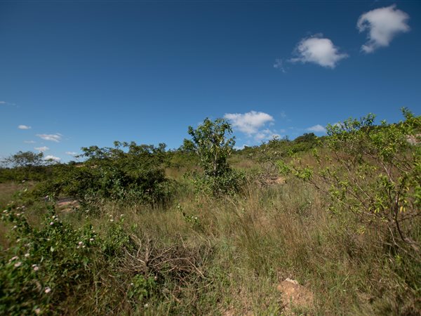 7042 m² Land available in The Rest Nature Estate