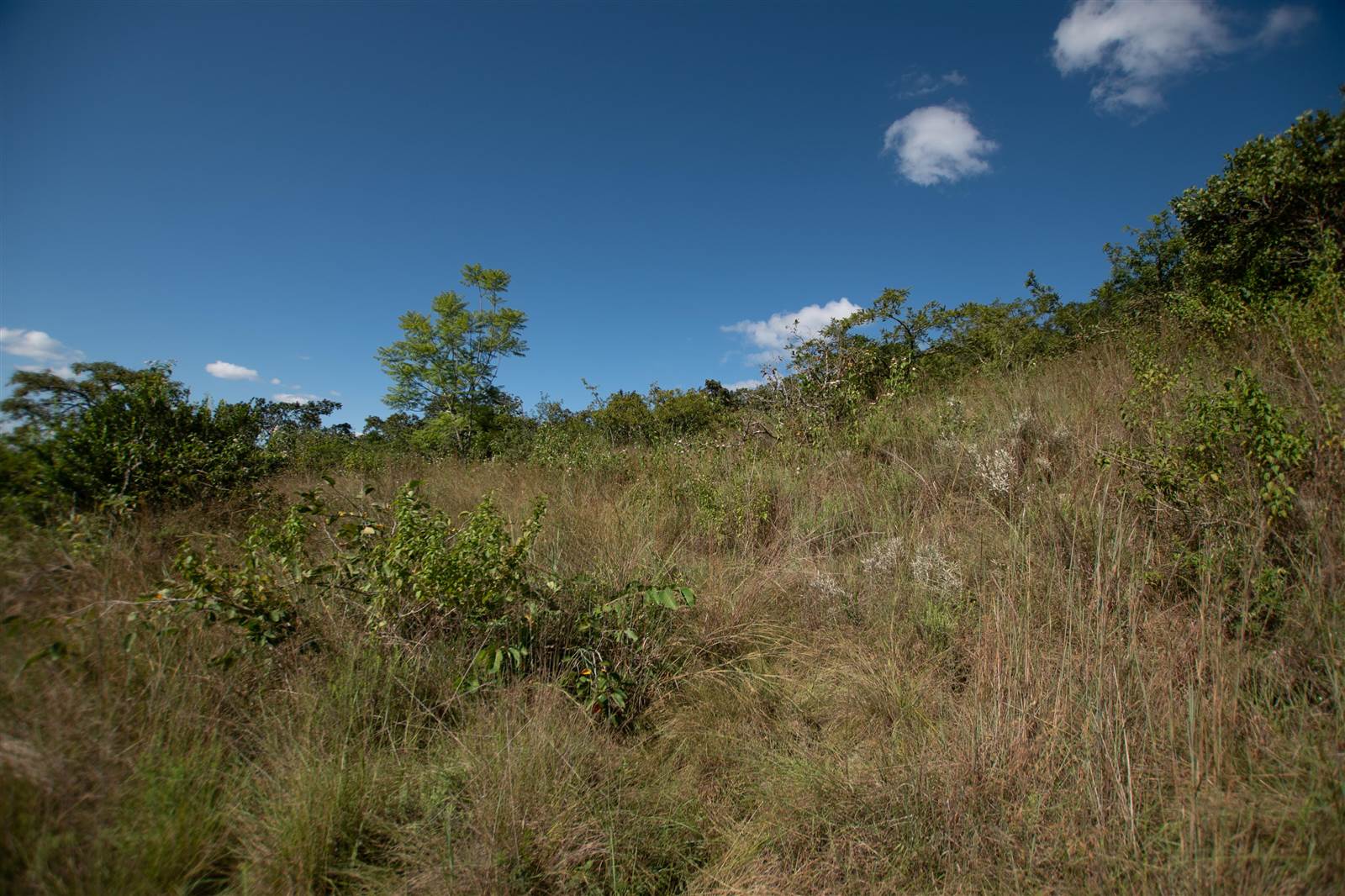 7042 m² Land available in The Rest Nature Estate photo number 10