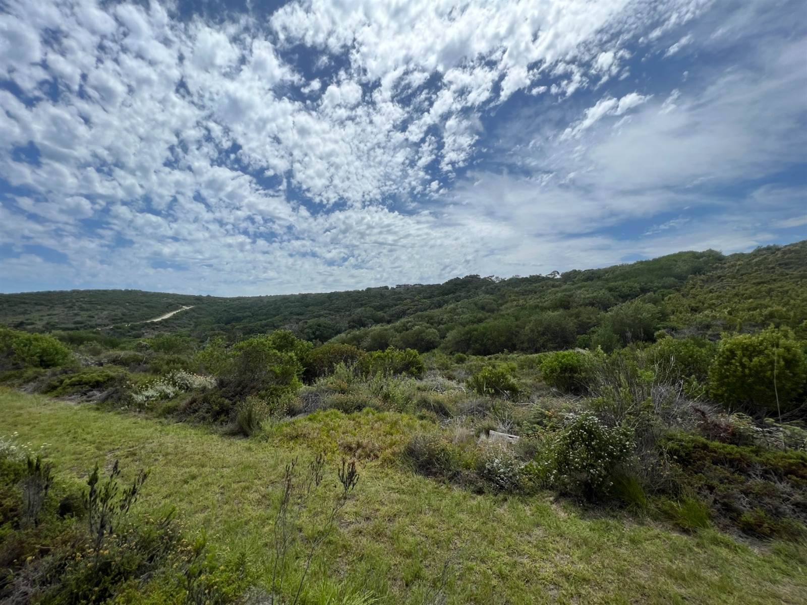 1.8 ha Land available in Pezula Private Estate photo number 17