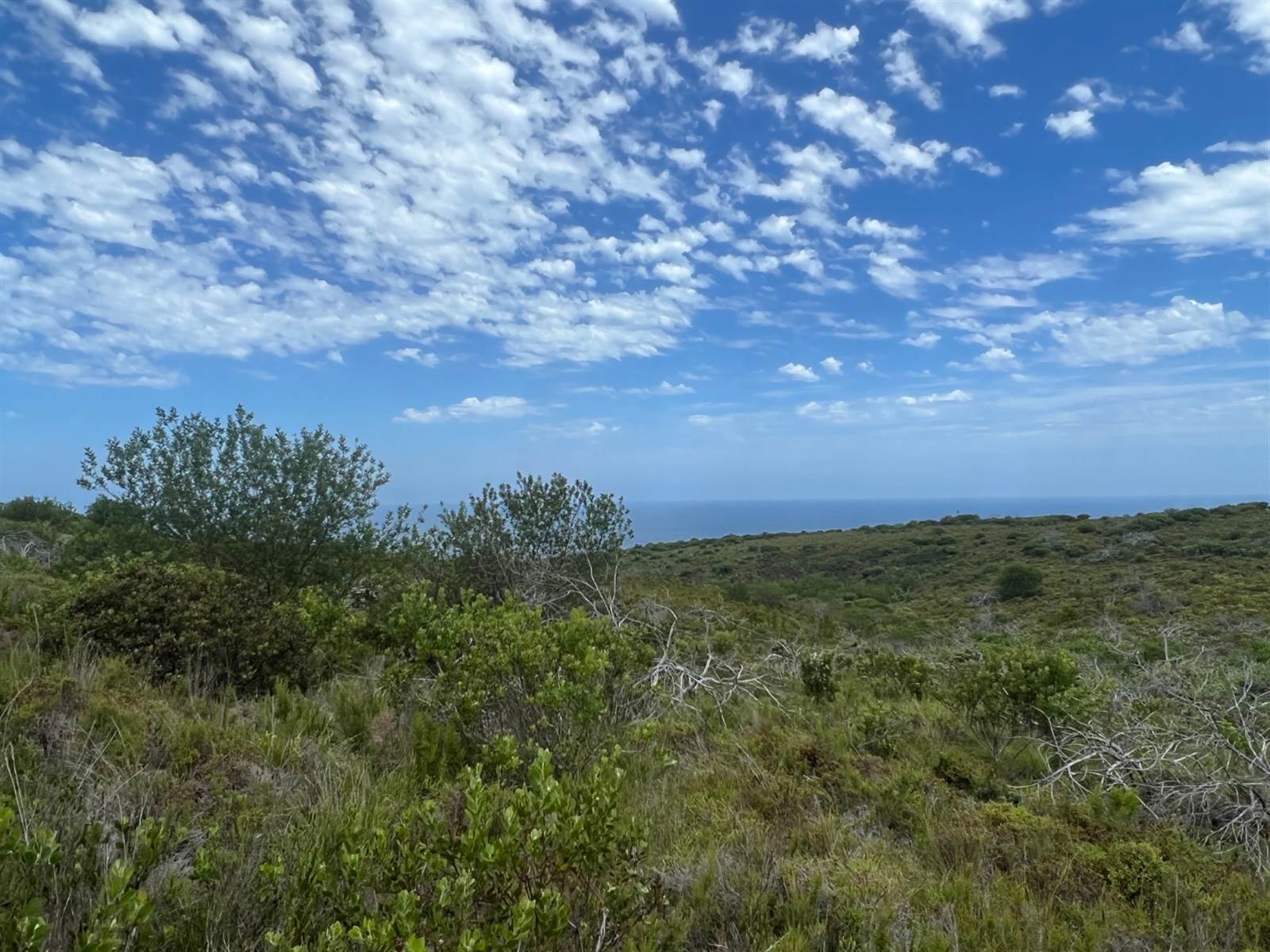 1.8 ha Land available in Pezula Private Estate photo number 12