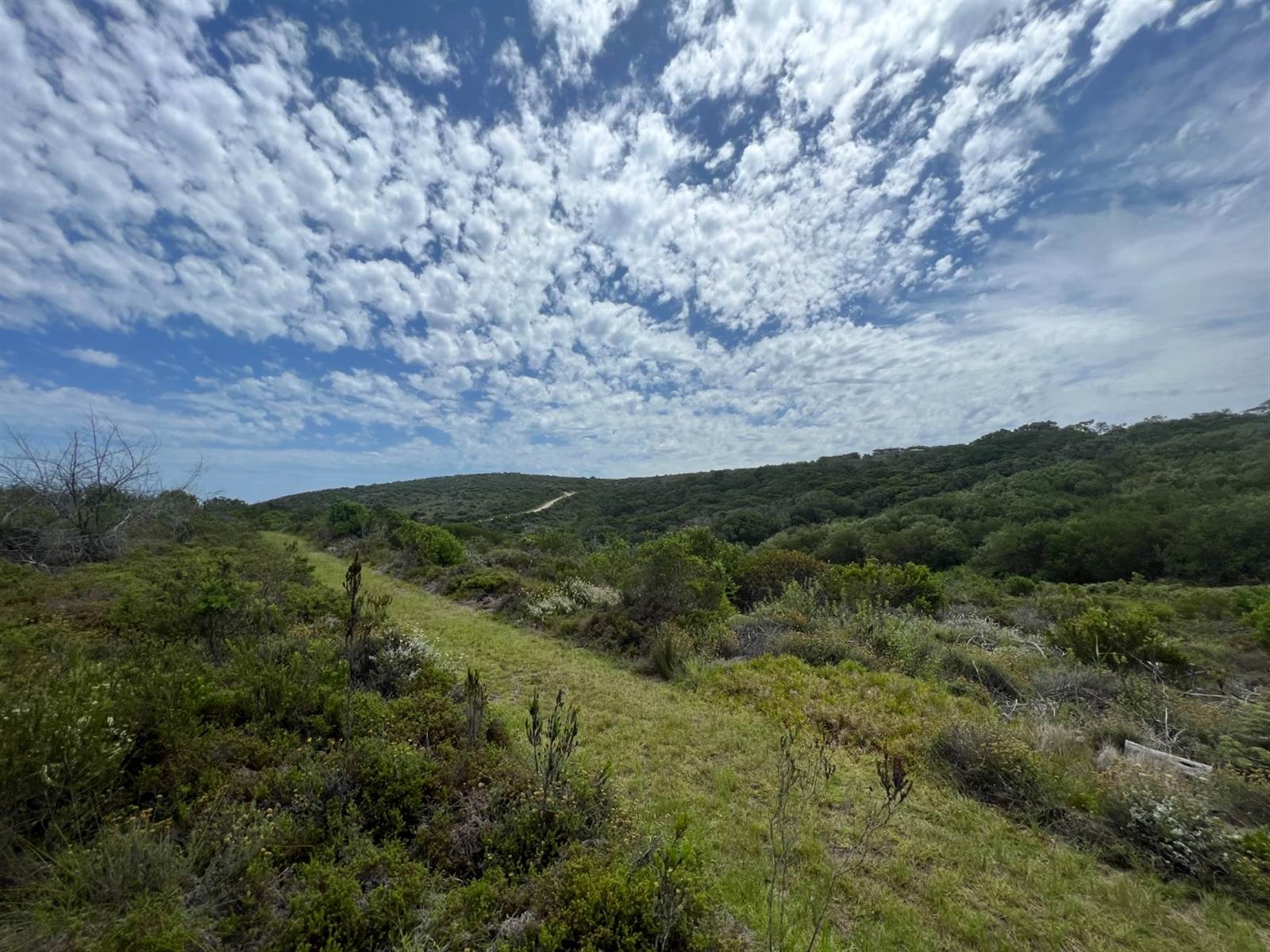 1.8 ha Land available in Pezula Private Estate photo number 16
