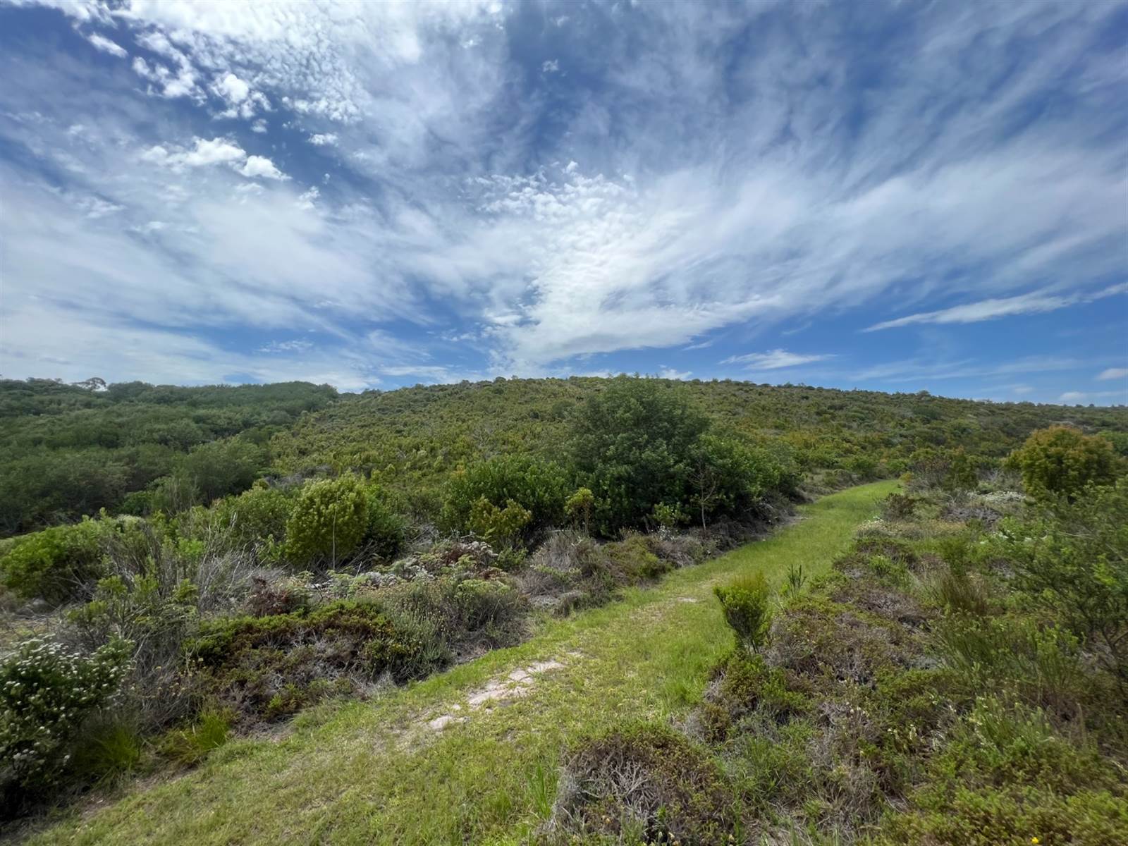 1.8 ha Land available in Pezula Private Estate photo number 13