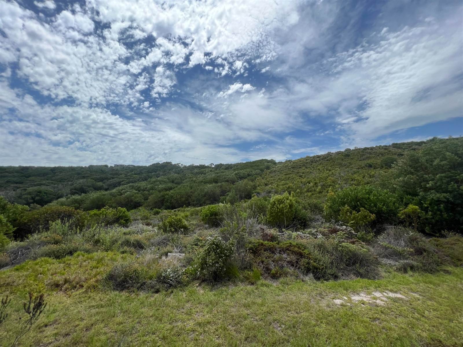 1.8 ha Land available in Pezula Private Estate photo number 14