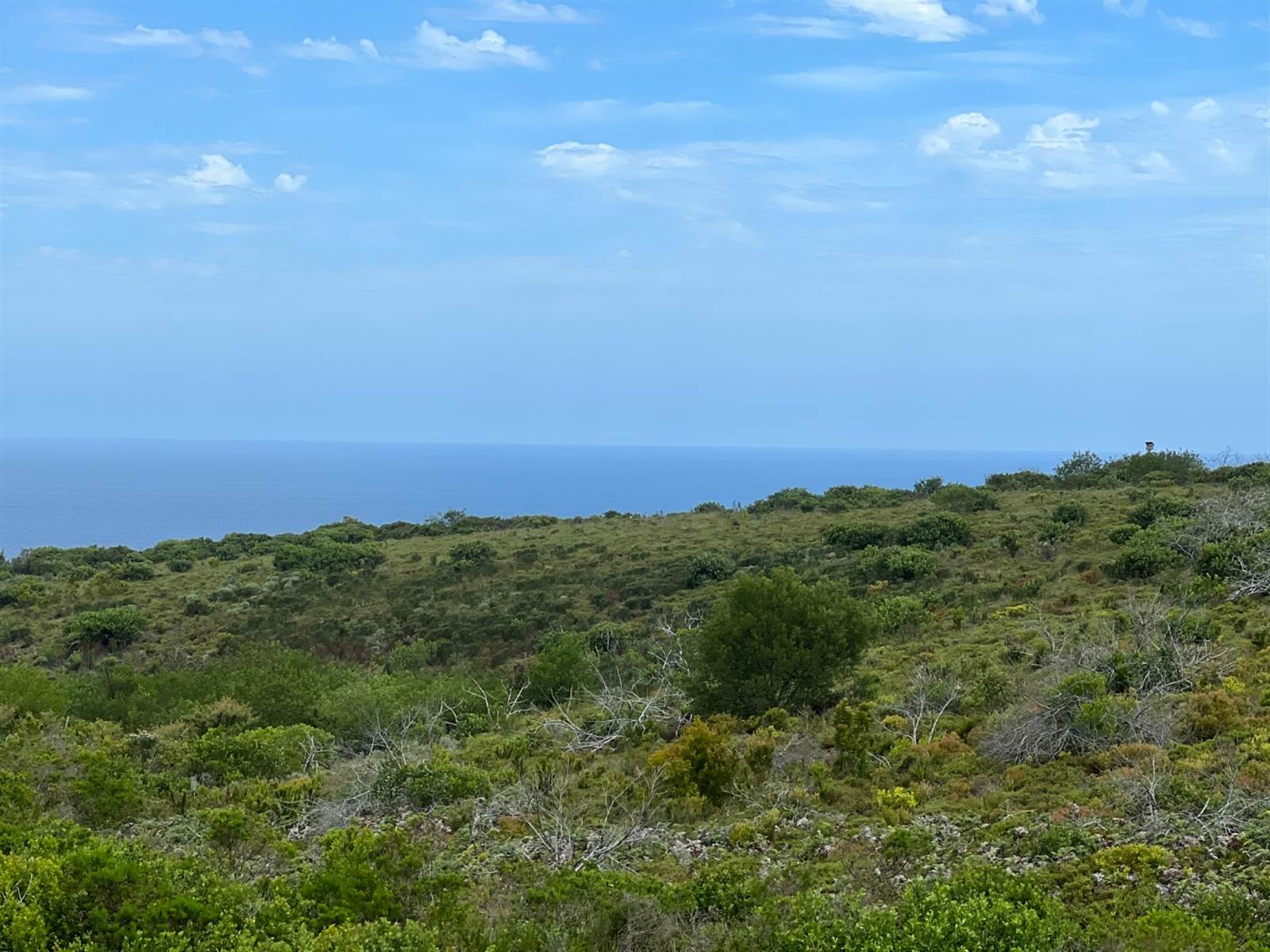 1.8 ha Land available in Pezula Private Estate photo number 8