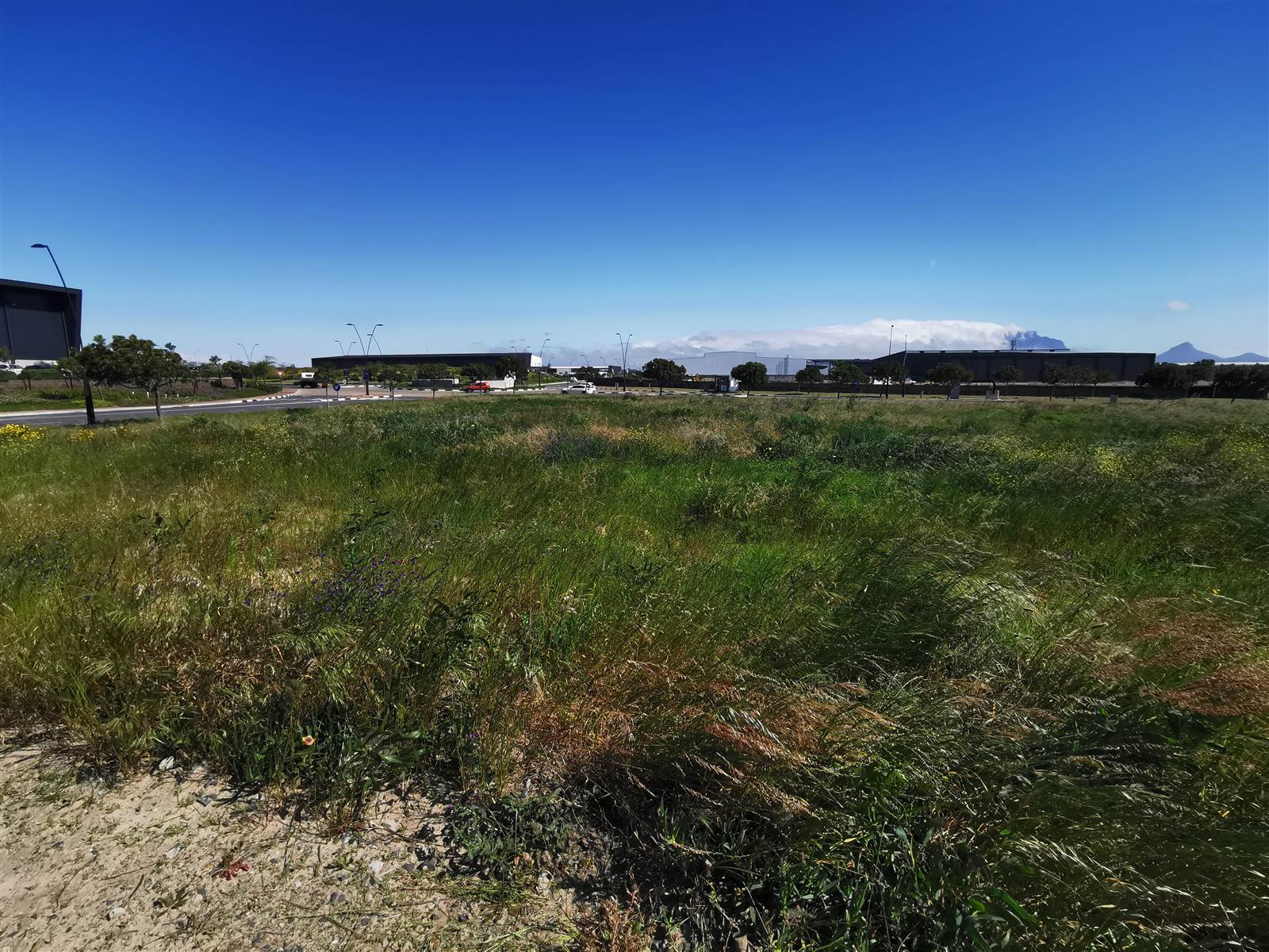 4.3 ha Land available in Milnerton photo number 8