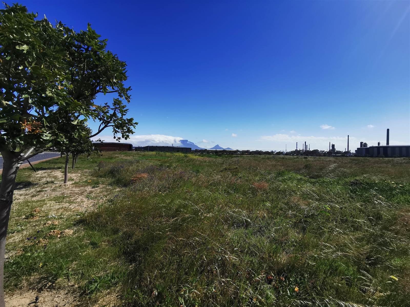 4.3 ha Land available in Milnerton photo number 3