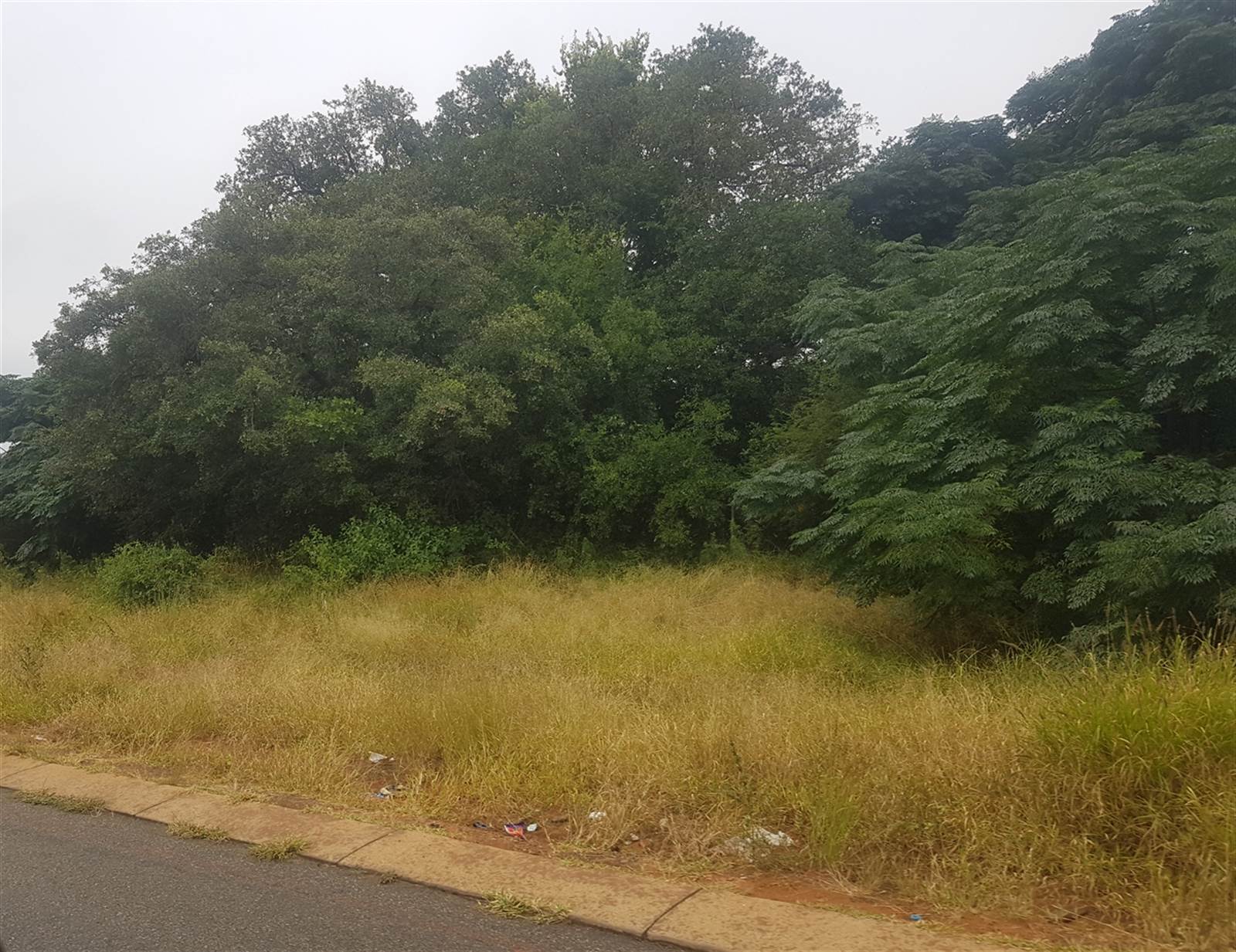 2 ha Land available in Cashan photo number 8