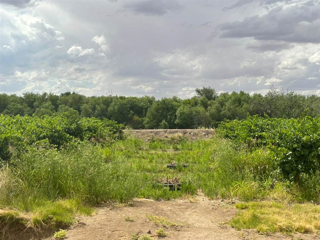 3807 m² Land available in Kanoneiland photo number 3