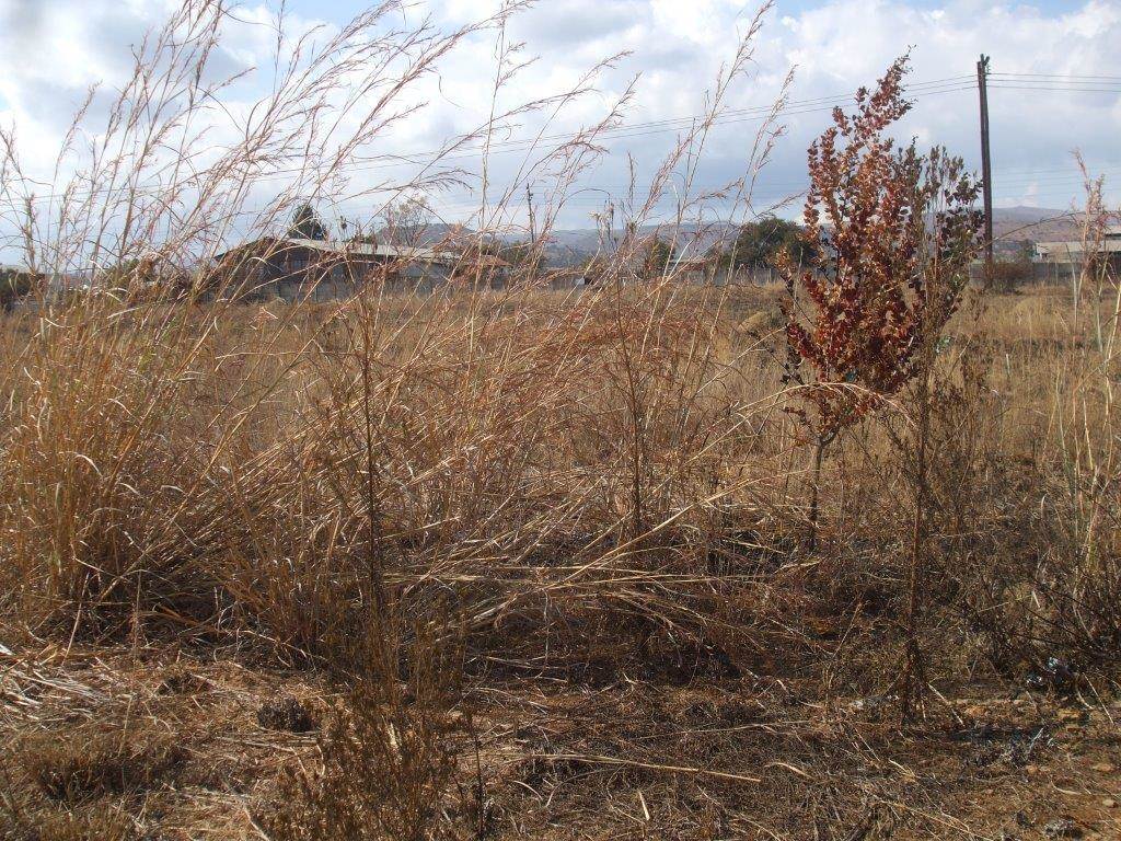2007 m² Land available in Lydenburg photo number 2