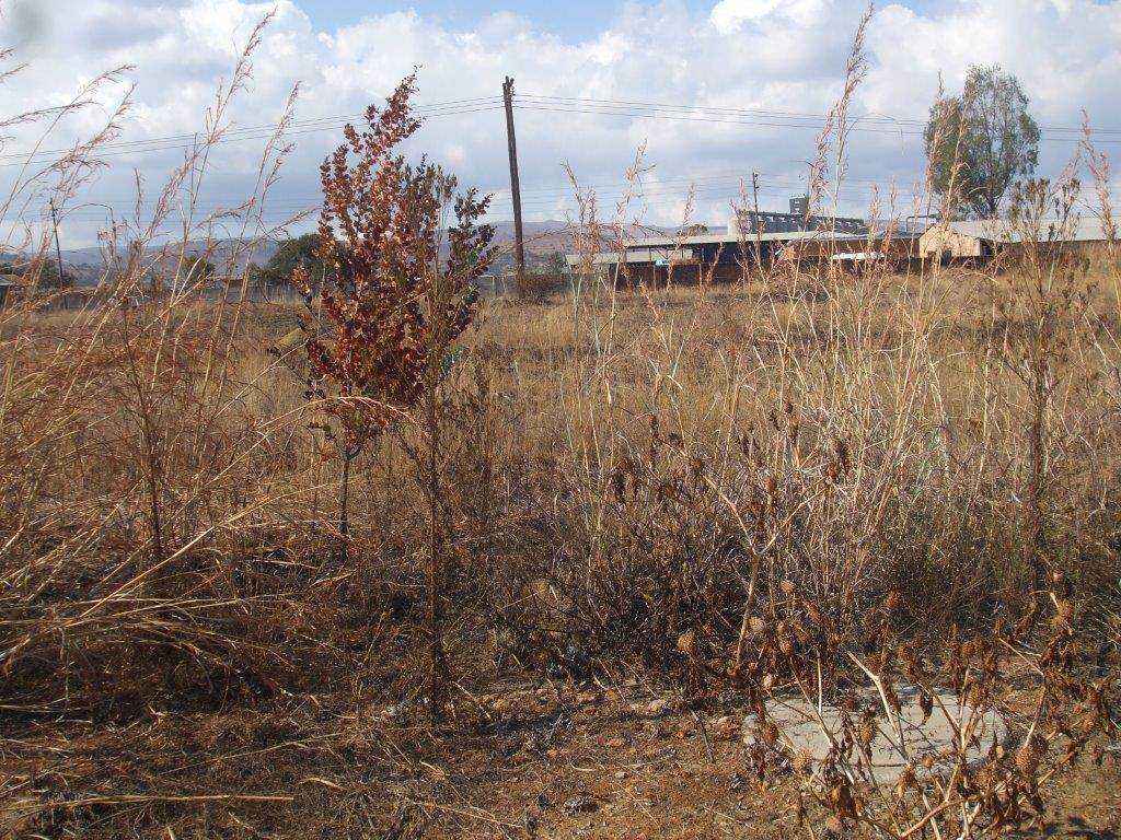 2007 m² Land available in Lydenburg photo number 4
