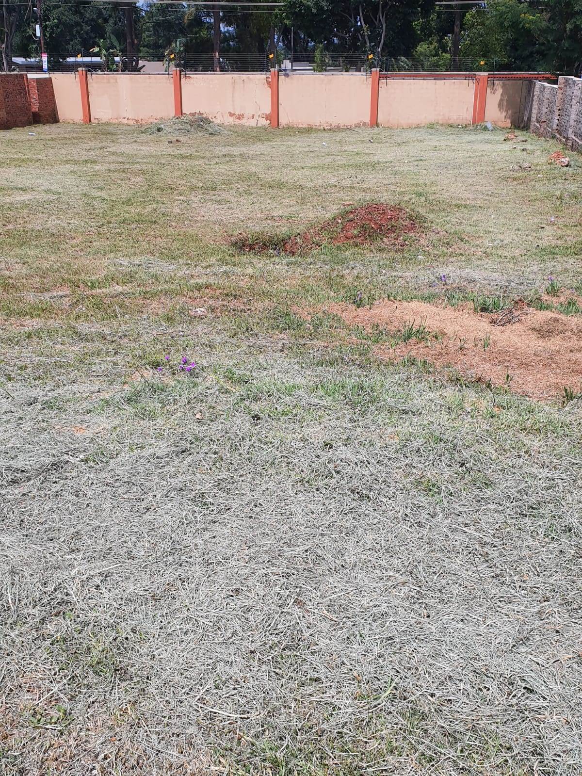 1000 m² Land available in Raslouw photo number 4