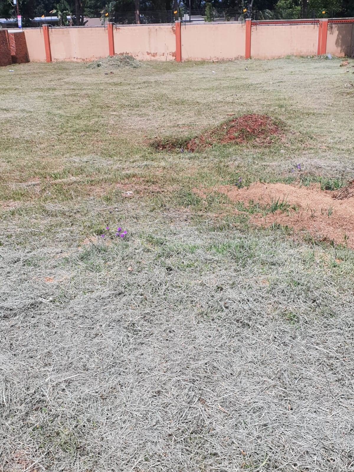 1000 m² Land available in Raslouw photo number 3
