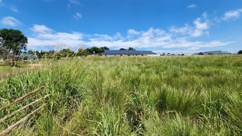 1440 m² Land available in Howick photo number 5