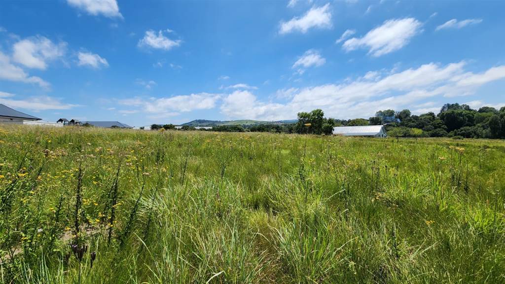 1440 m² Land available in Howick photo number 2