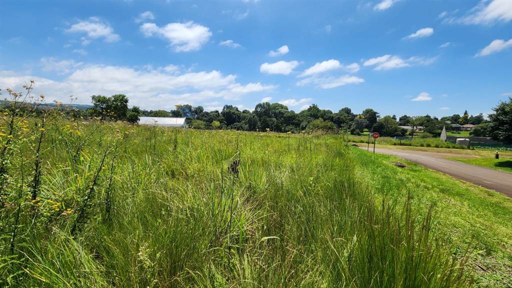 1440 m² Land available in Howick photo number 1