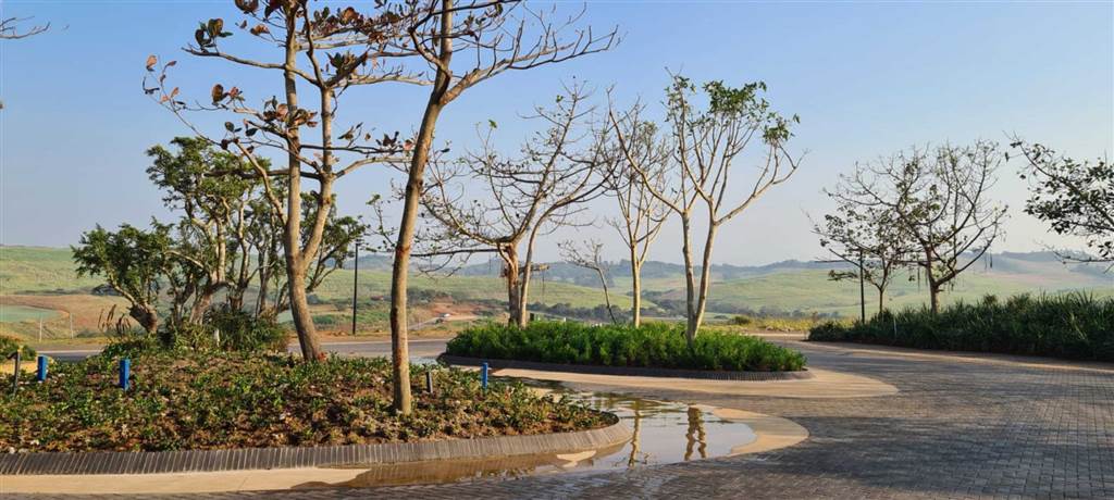 1168 m² Land available in Zimbali Estate photo number 22