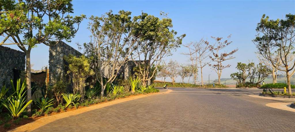 1168 m² Land available in Zimbali Estate photo number 15