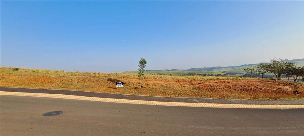 1168 m² Land available in Zimbali Estate photo number 5