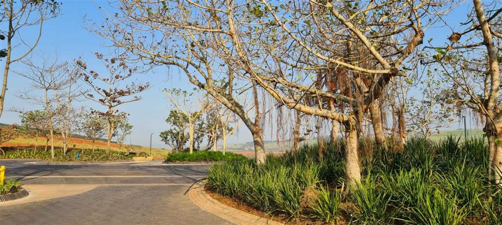 1168 m² Land available in Zimbali Estate photo number 30