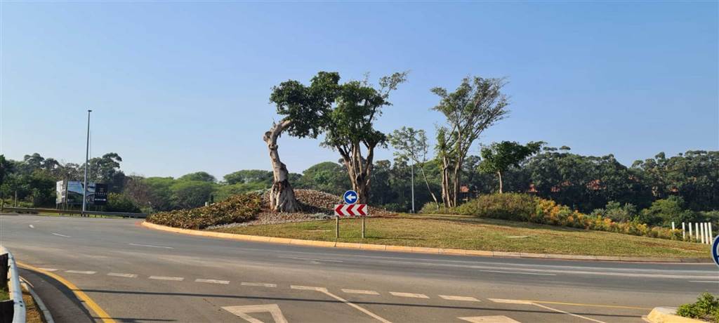 1168 m² Land available in Zimbali Estate photo number 12
