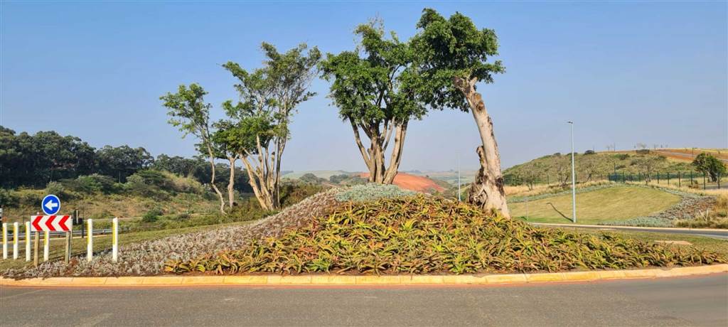 1168 m² Land available in Zimbali Estate photo number 23