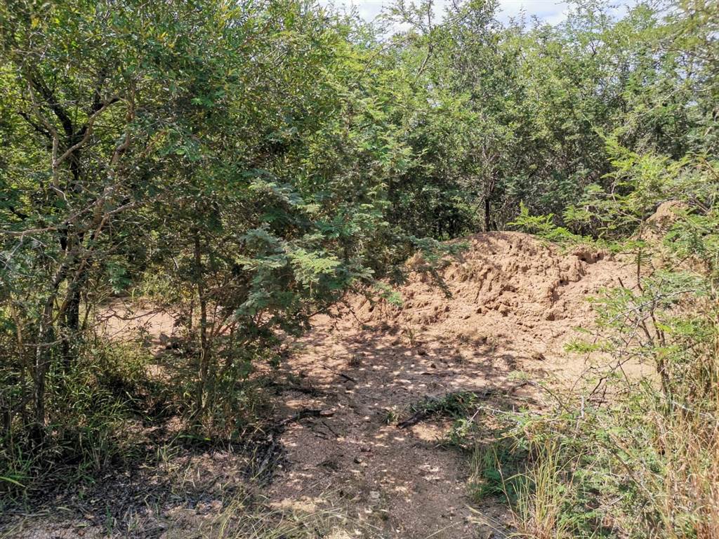1.1 ha Land available in Moditlo Nature Reserve photo number 4
