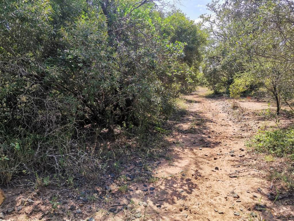 1.1 ha Land available in Moditlo Nature Reserve photo number 12