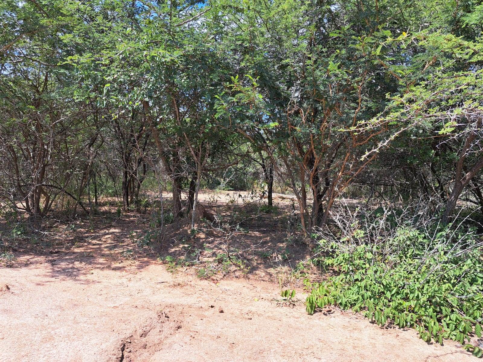 1.1 ha Land available in Moditlo Nature Reserve photo number 2