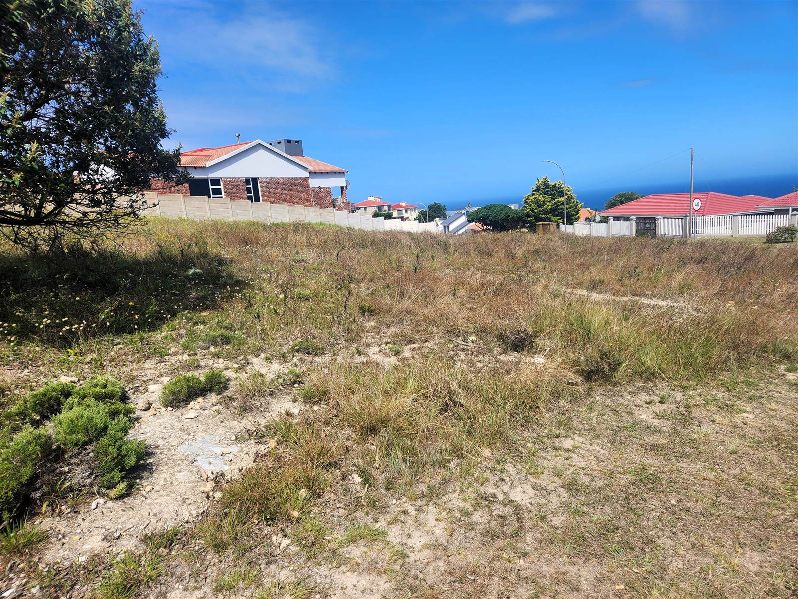 886 m² Land available in Dana Bay photo number 8