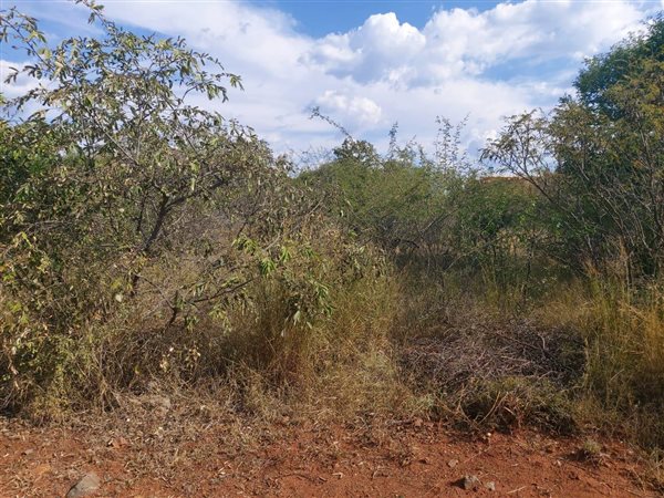 1017 m² Land available in Seasons Lifestyle Estate