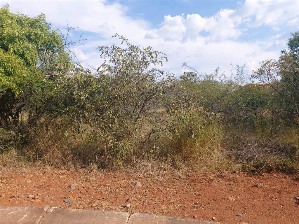 1017 m² Land available in Seasons Lifestyle Estate photo number 2