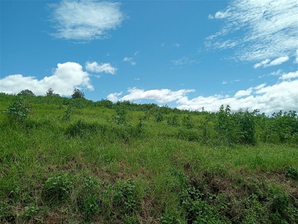 928 m² Land 928 m² Land