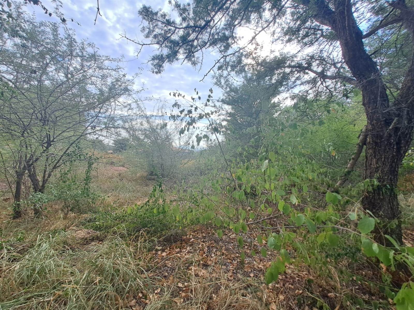 977 m² Land available in Thabazimbi photo number 2