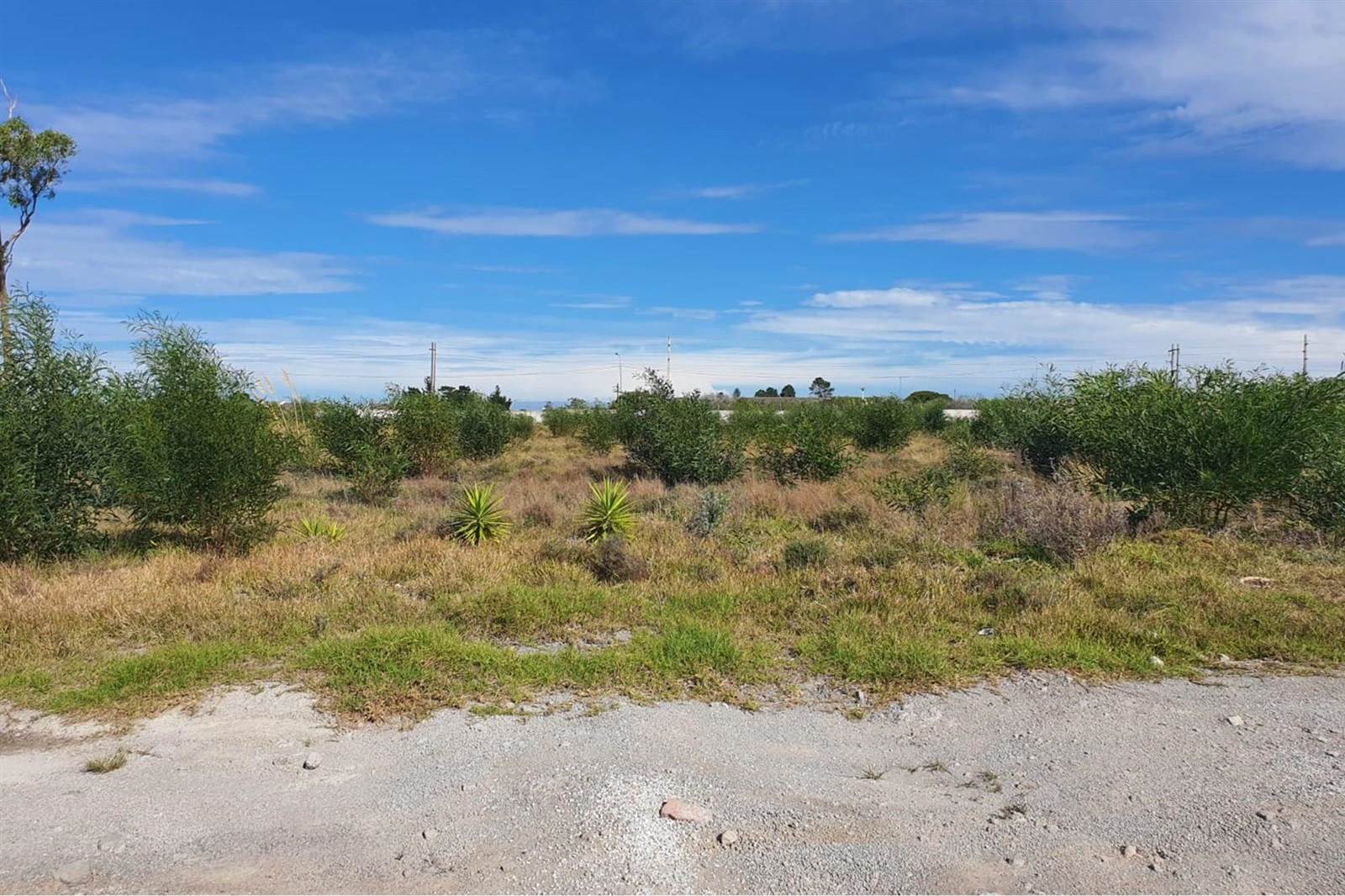 2500 m² Land available in Greenbushes photo number 6
