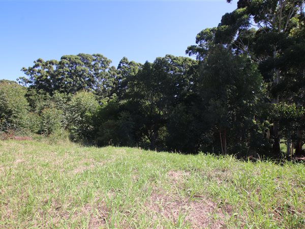 501 m² Land 501 m² Land