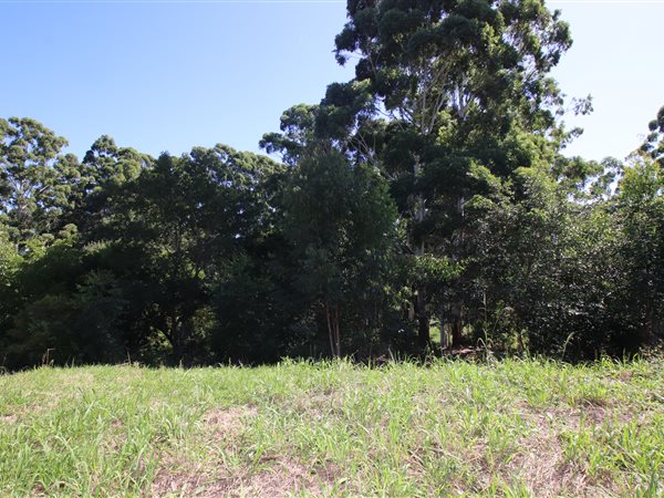 501 m² Land 501 m² Land