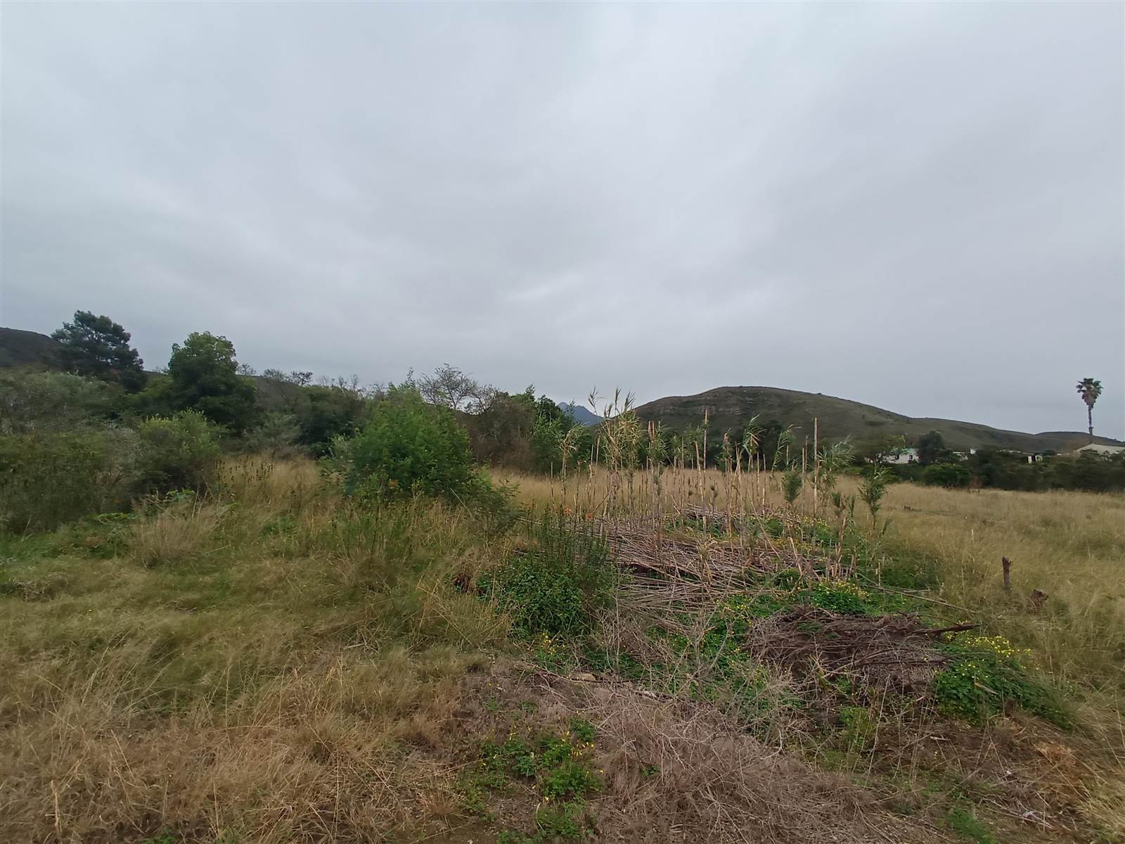 9236 m² Land available in Herbertsdale photo number 7