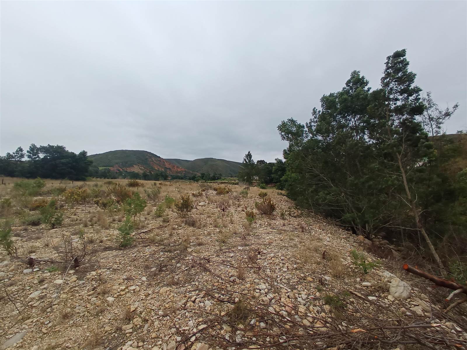 9236 m² Land available in Herbertsdale photo number 1