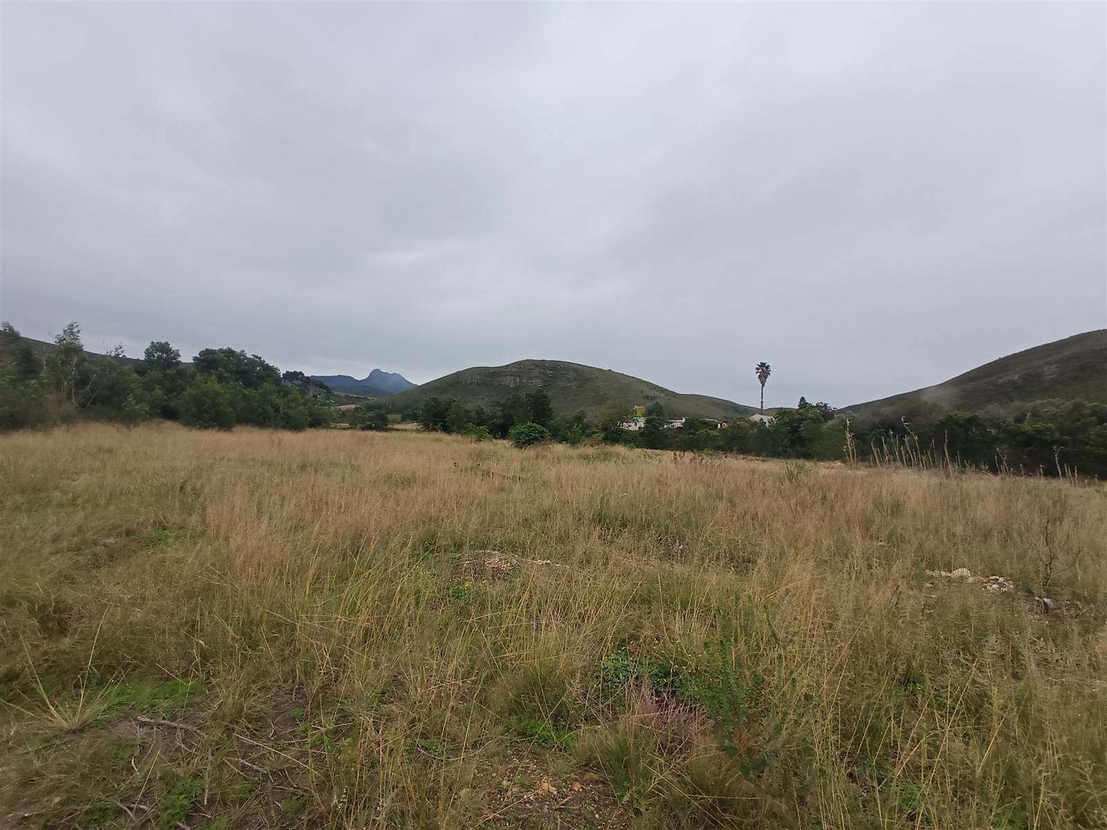 9236 m² Land available in Herbertsdale photo number 6