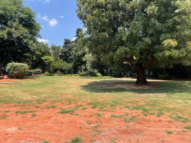 1000 m² Land available in Bedfordview photo number 6