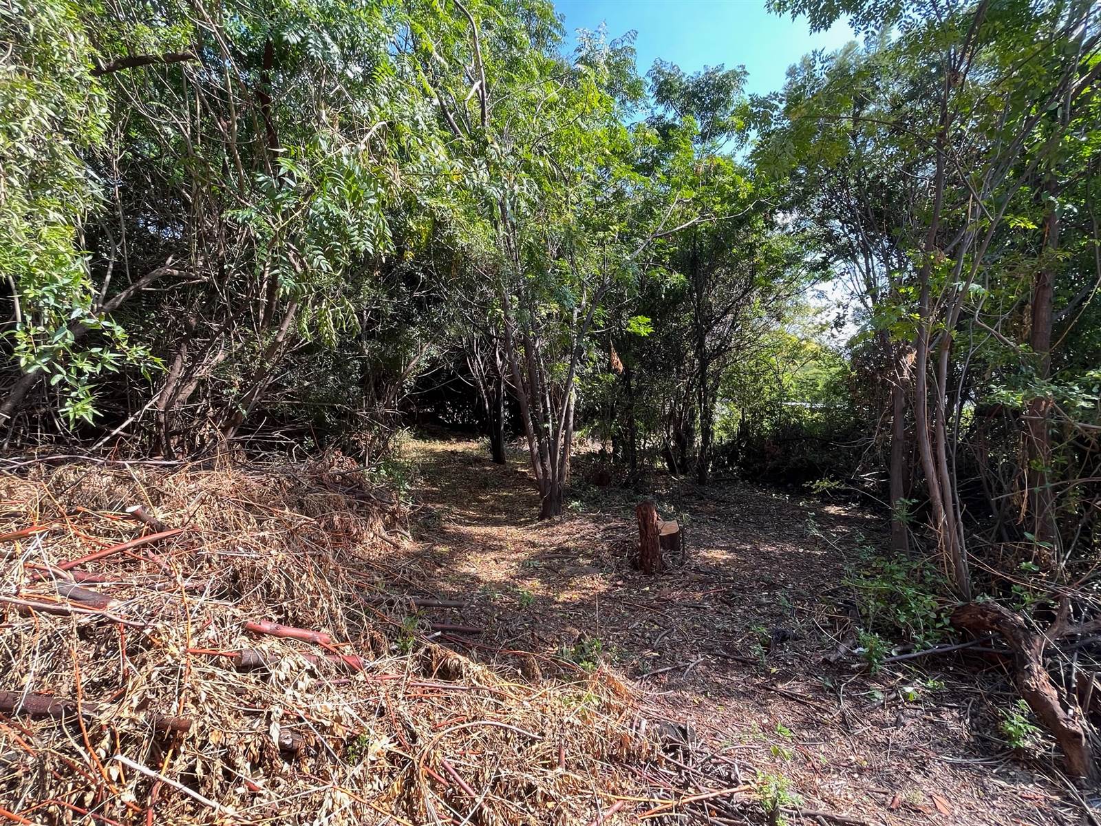 1041 m² Land available in Lynnwood photo number 5
