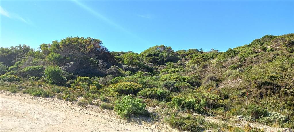 713 m² Land available in Suiderstrand photo number 3