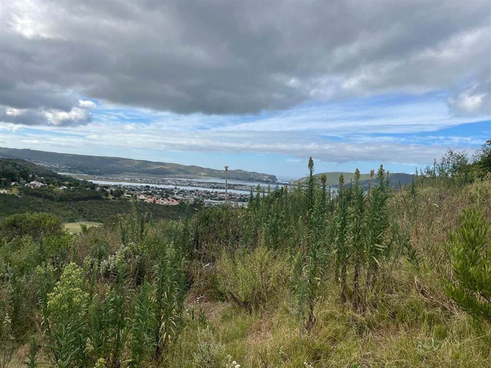 1356 m² Land available in Knysna Heights photo number 5